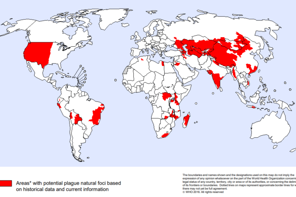 plague map 2016 00c93b87