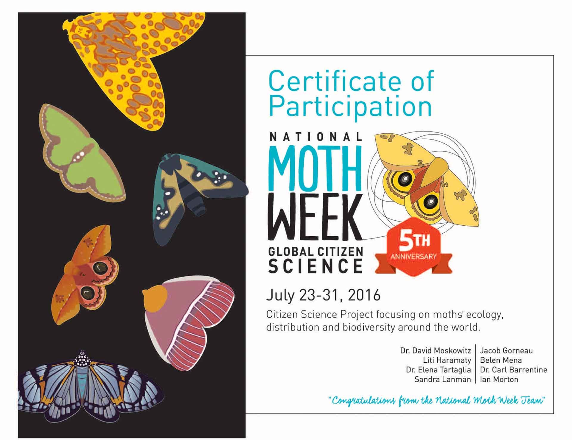 Moth Week Certificate 1a0408e8