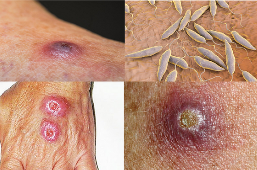 Screenshot 2025 11 28 193231 2b135e0f