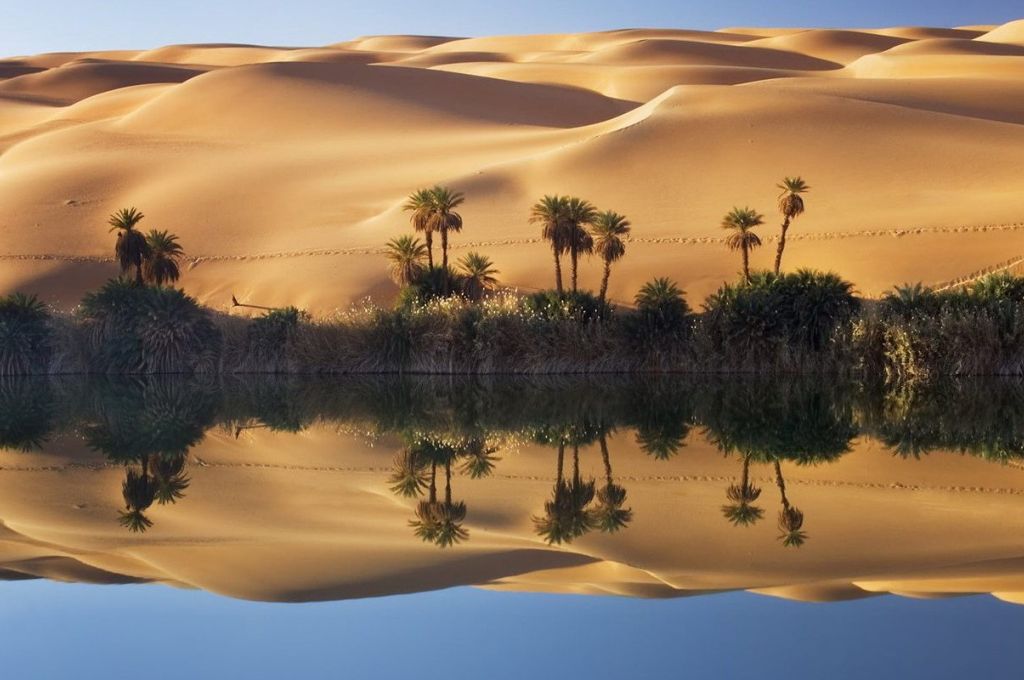 An Oasis in a desert e1524741231260 2 2dcbf973