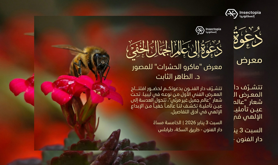 كلمة افتتاح معرض التصوير الفوتوغرافي "ماكرو الحشرات"