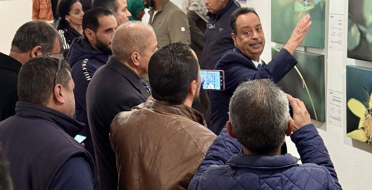 المعرض الشخصي للدكتور الطاهر الثابت