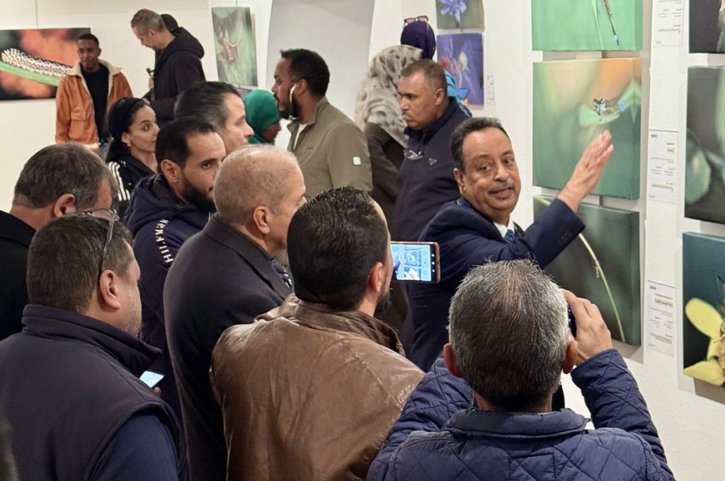 المعرض الشخصي للدكتور الطاهر الثابت
