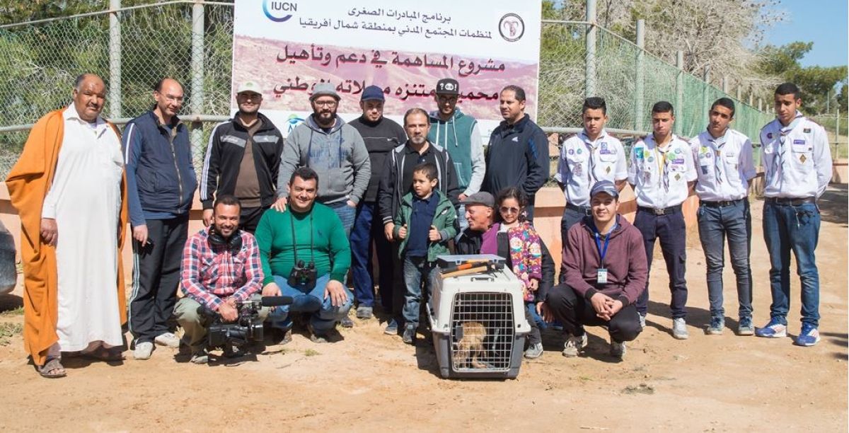 التعاون مع الجمعية الليبية لحماية الحياة البرية في الحفاظ على السلالات النادرة.