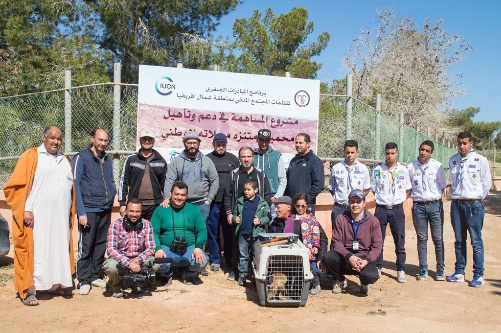 The Libyan Wildlife Trust 003 9ea5ba16