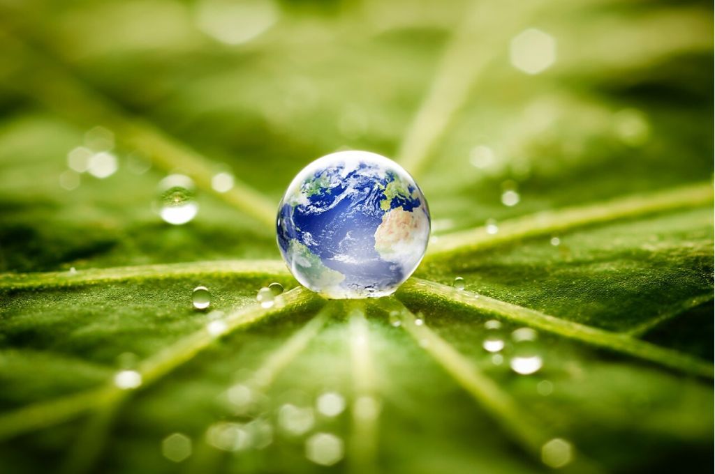world in a drop of water on a leaf ecae88d4