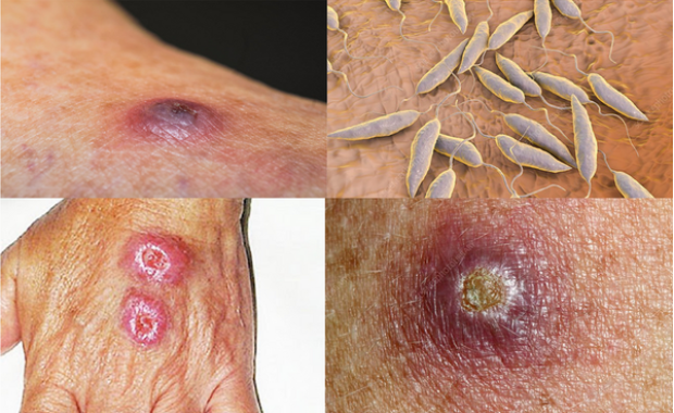 Screenshot 2025 11 28 193231 f4ce2840