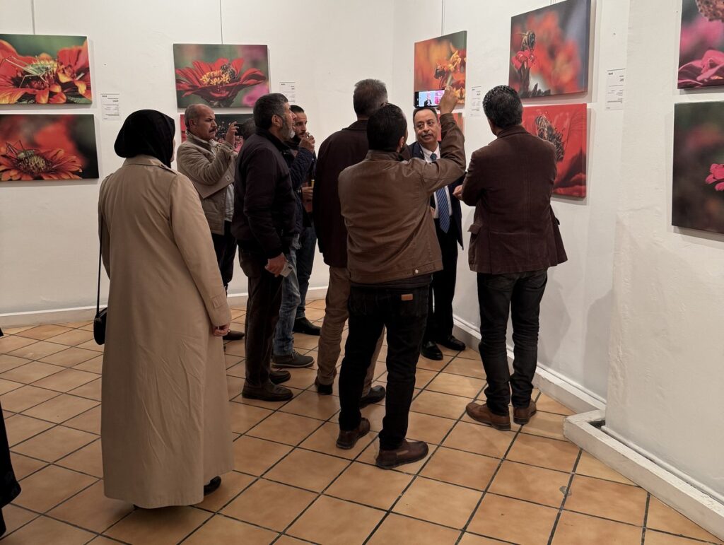 المعرض الشخصي للدكتور الطاهر الثابت 3 IMG 3694