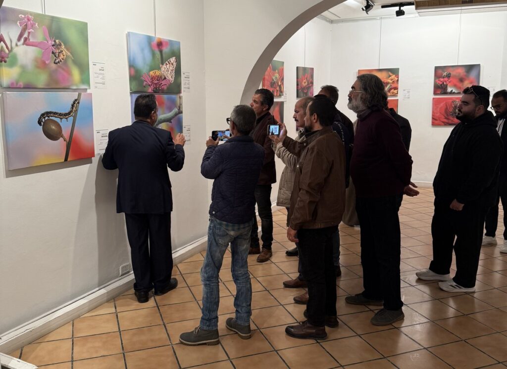 المعرض الشخصي للدكتور الطاهر الثابت 4 IMG 3703