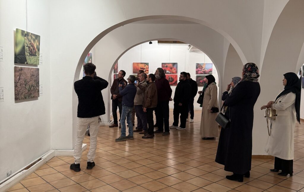 المعرض الشخصي للدكتور الطاهر الثابت 5 IMG 3704