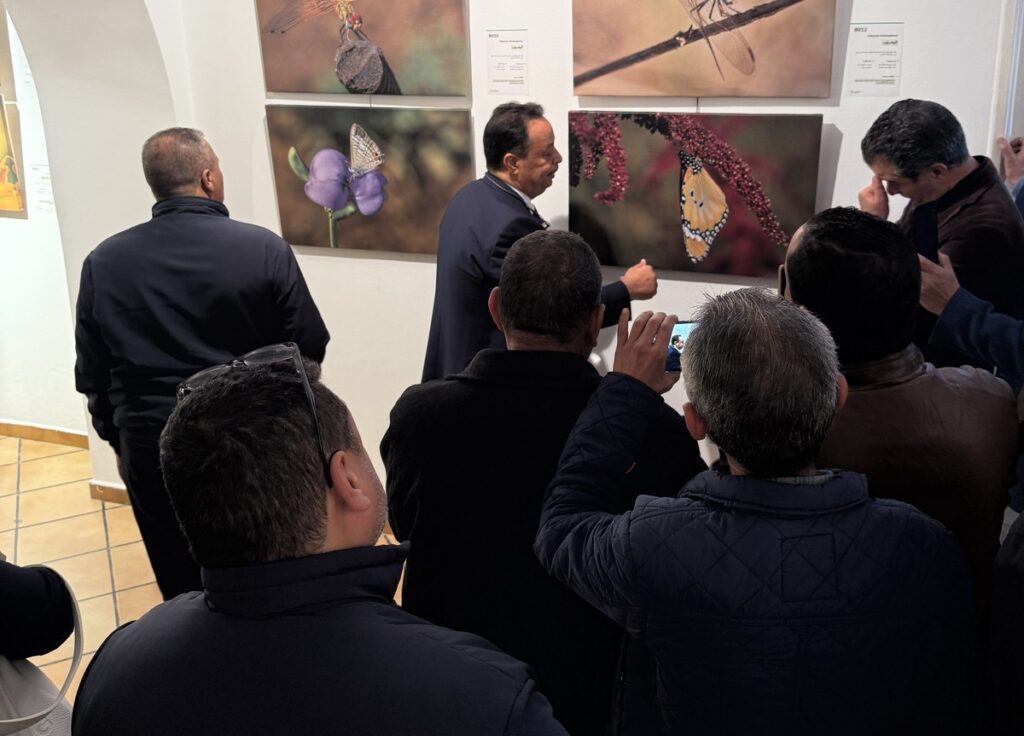 المعرض الشخصي للدكتور الطاهر الثابت 8 IMG 3736