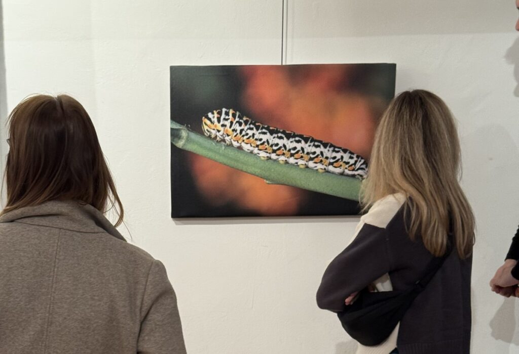 المعرض الشخصي للدكتور الطاهر الثابت 9 IMG 3749