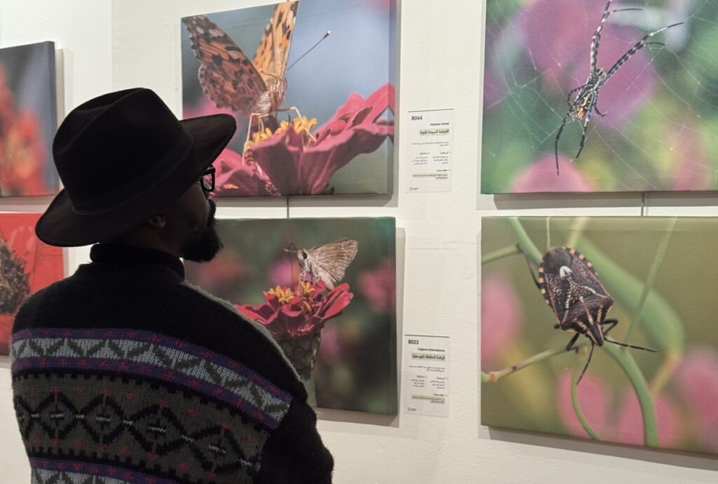 المعرض الشخصي للدكتور الطاهر الثابت 10 IMG 3751