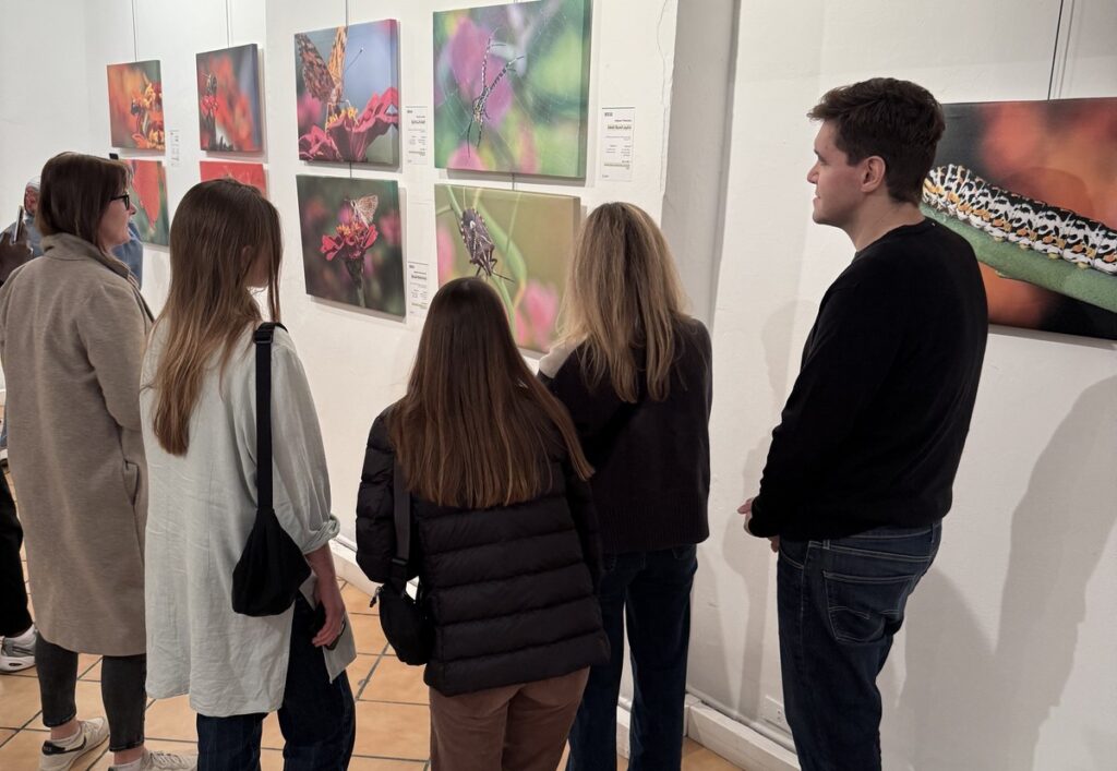 المعرض الشخصي للدكتور الطاهر الثابت 11 IMG 3754