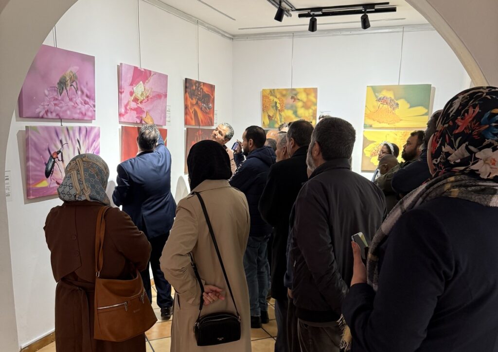 المعرض الشخصي للدكتور الطاهر الثابت 13 IMG 3769