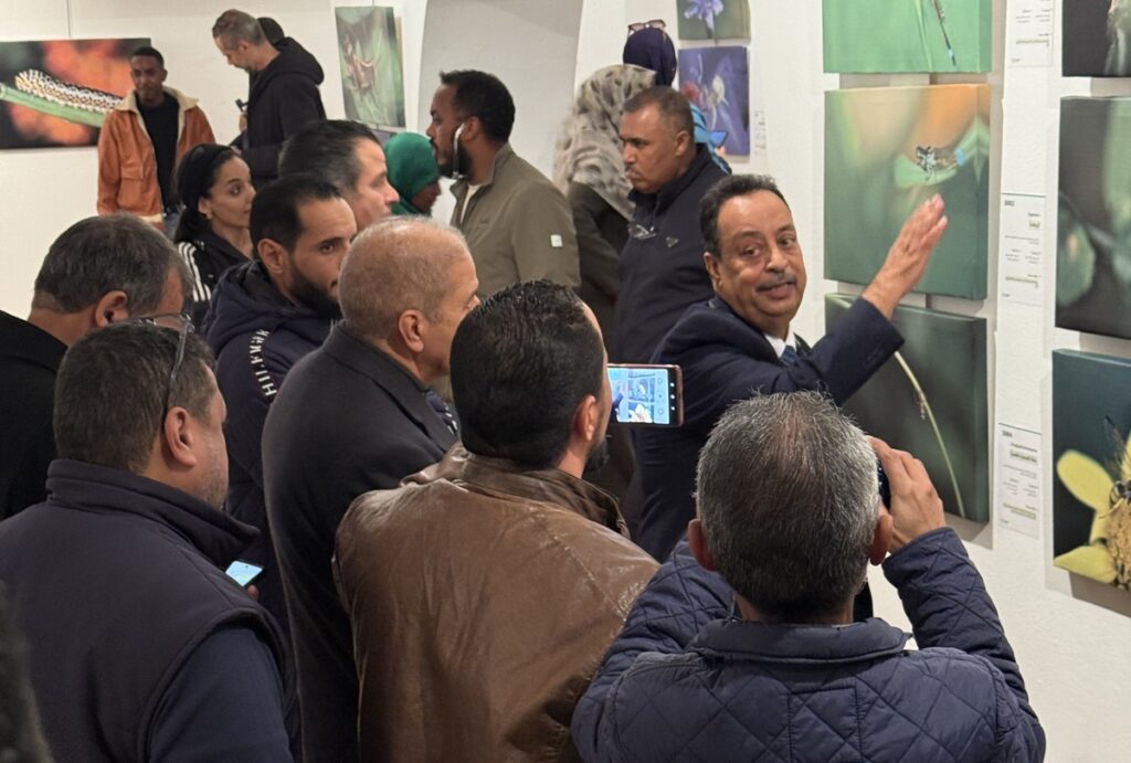 المعرض الشخصي للدكتور الطاهر الثابت 14 IMG 3773