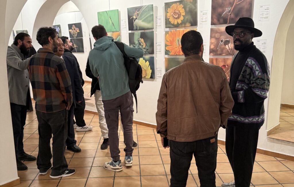 المعرض الشخصي للدكتور الطاهر الثابت 18 IMG 3788