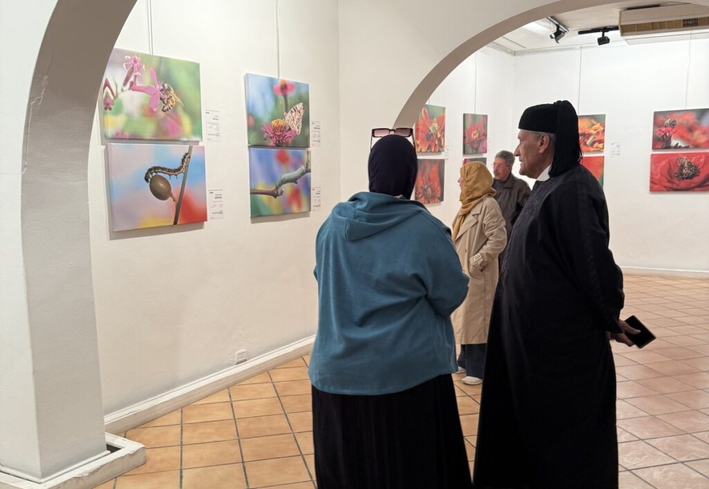 المعرض الشخصي للدكتور الطاهر الثابت 21 IMG 3796