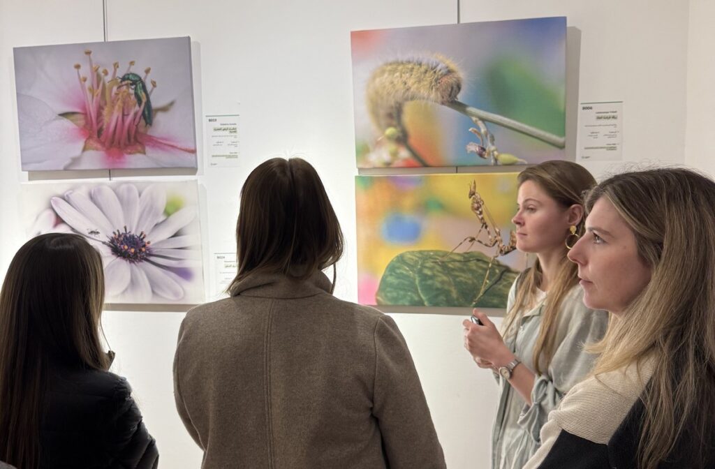 المعرض الشخصي للدكتور الطاهر الثابت 23 IMG 3801