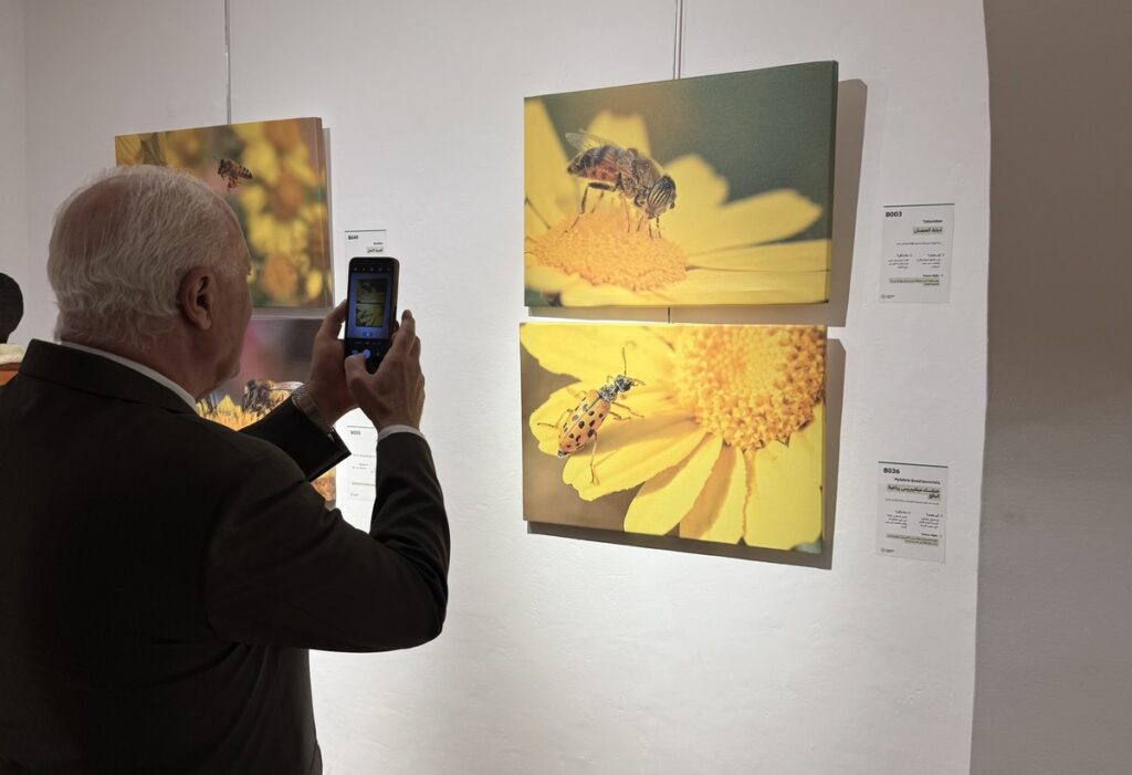 المعرض الشخصي للدكتور الطاهر الثابت 25 IMG 3805