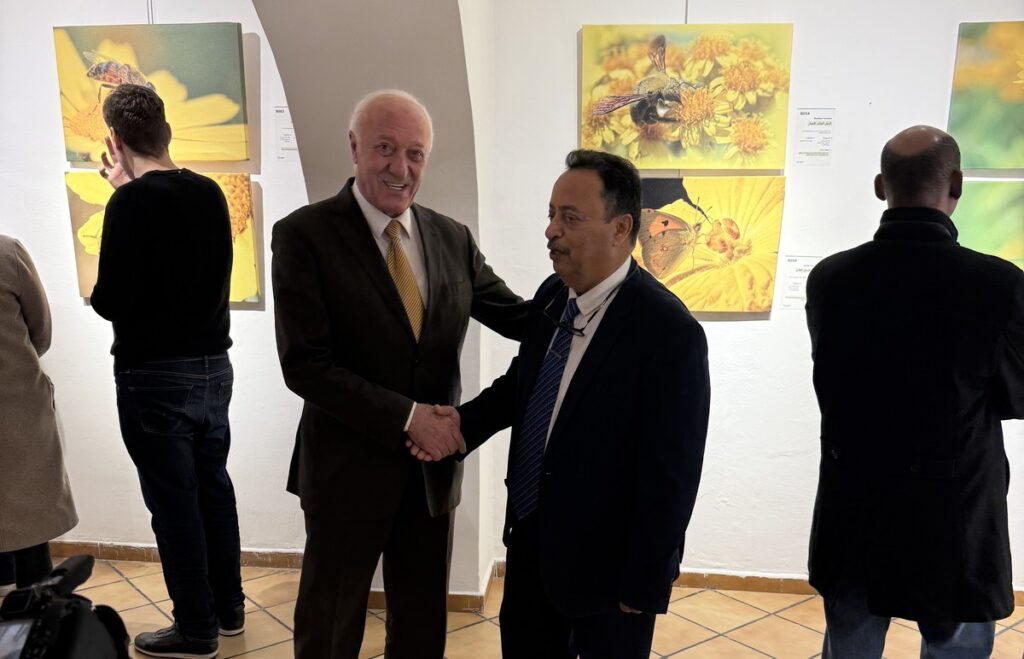 المعرض الشخصي للدكتور الطاهر الثابت 27 IMG 3819