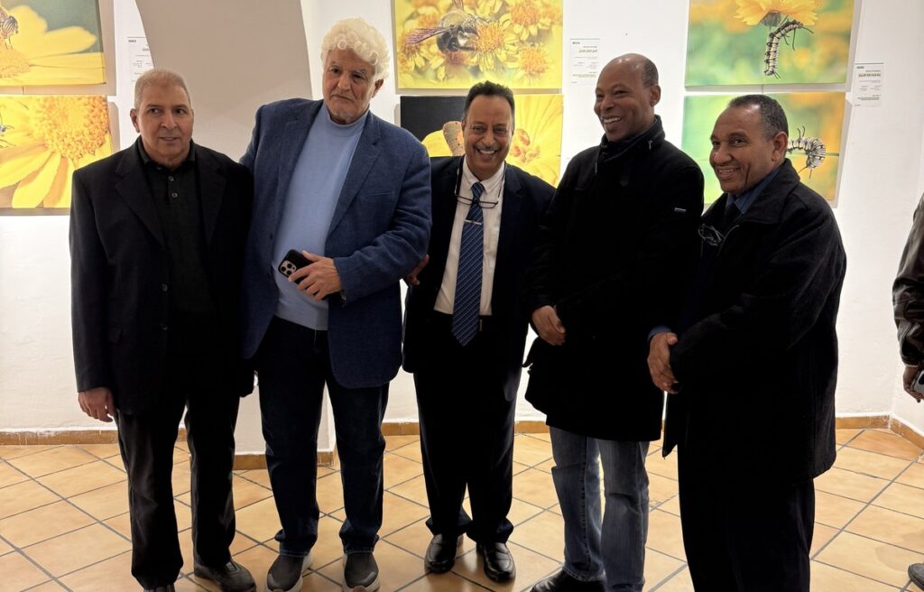 المعرض الشخصي للدكتور الطاهر الثابت 28 IMG 3838