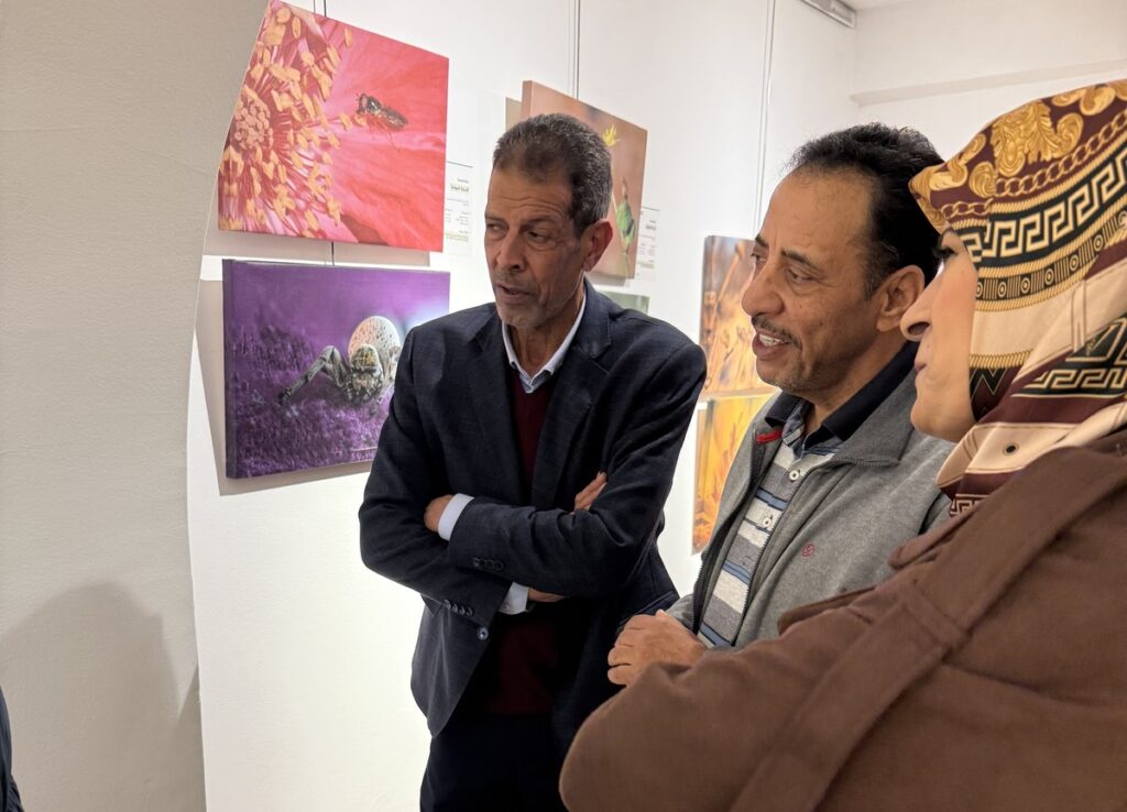 المعرض الشخصي للدكتور الطاهر الثابت 29 IMG 3841