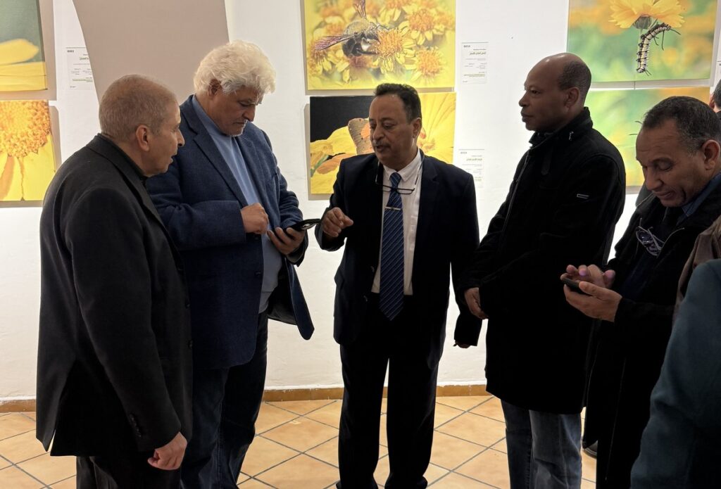 المعرض الشخصي للدكتور الطاهر الثابت 30 IMG 3843