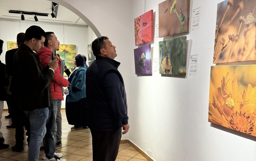 المعرض الشخصي للدكتور الطاهر الثابت 31 IMG 3845