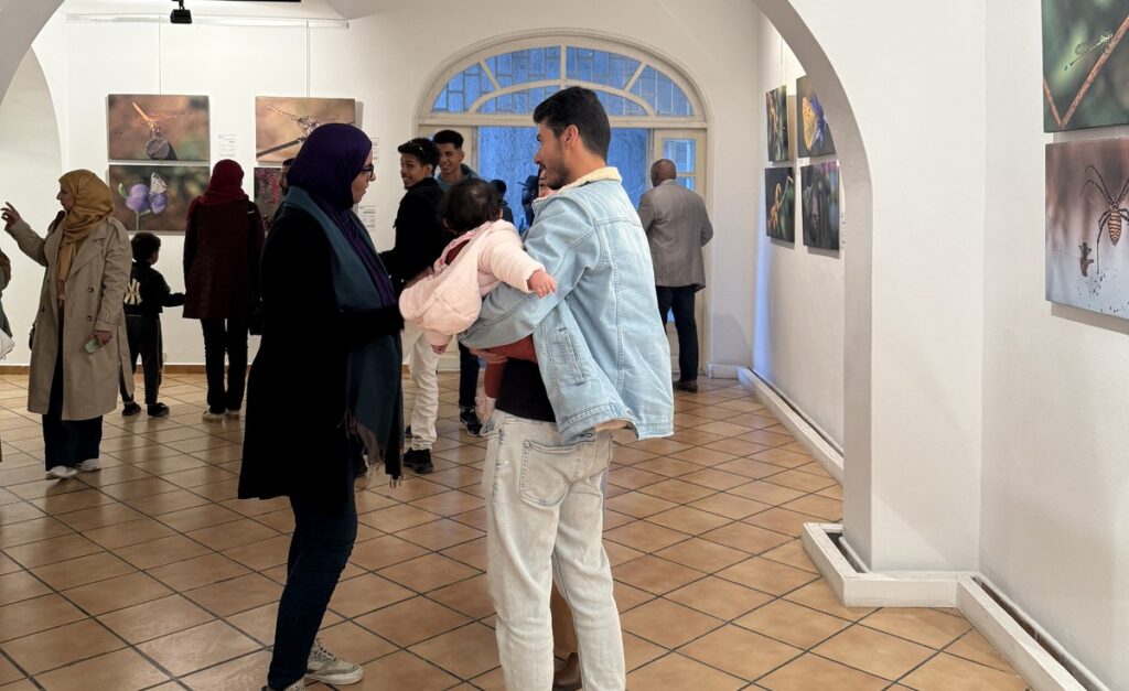 المعرض الشخصي للدكتور الطاهر الثابت 33 IMG 3849