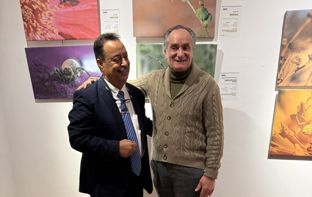 المعرض الشخصي للدكتور الطاهر الثابت 36 IMG 3888