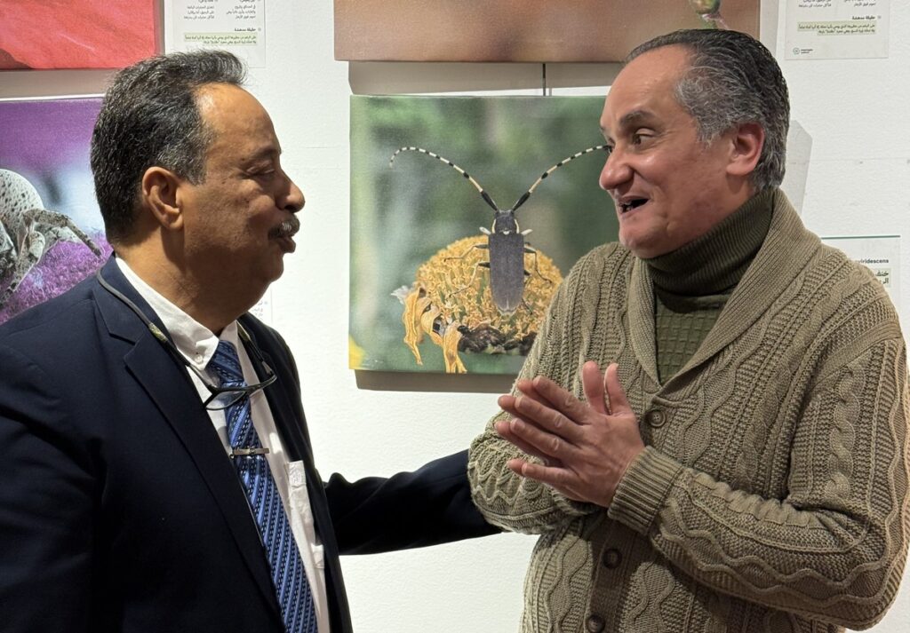 المعرض الشخصي للدكتور الطاهر الثابت 37 IMG 3891