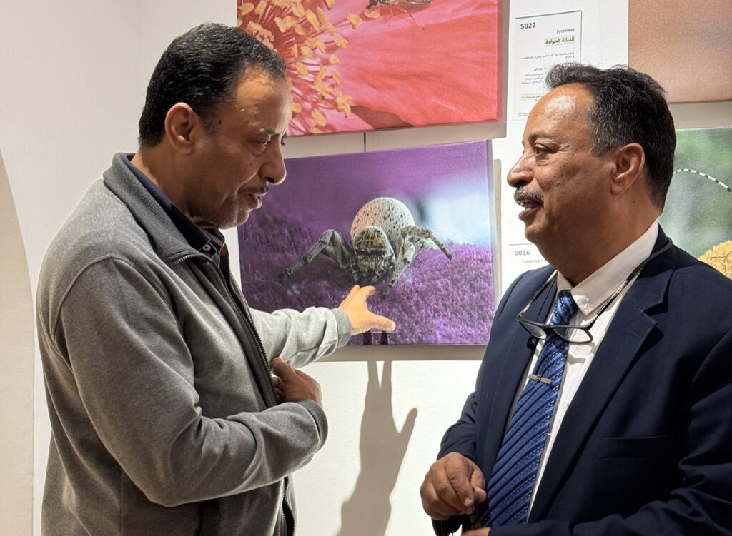 المعرض الشخصي للدكتور الطاهر الثابت 40 IMG 3901