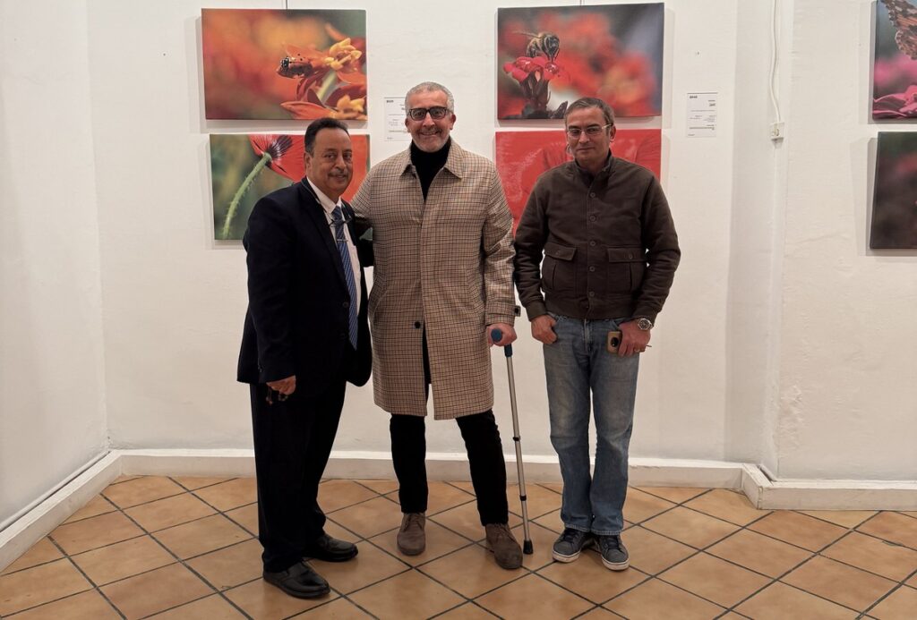 المعرض الشخصي للدكتور الطاهر الثابت 41 IMG 3981