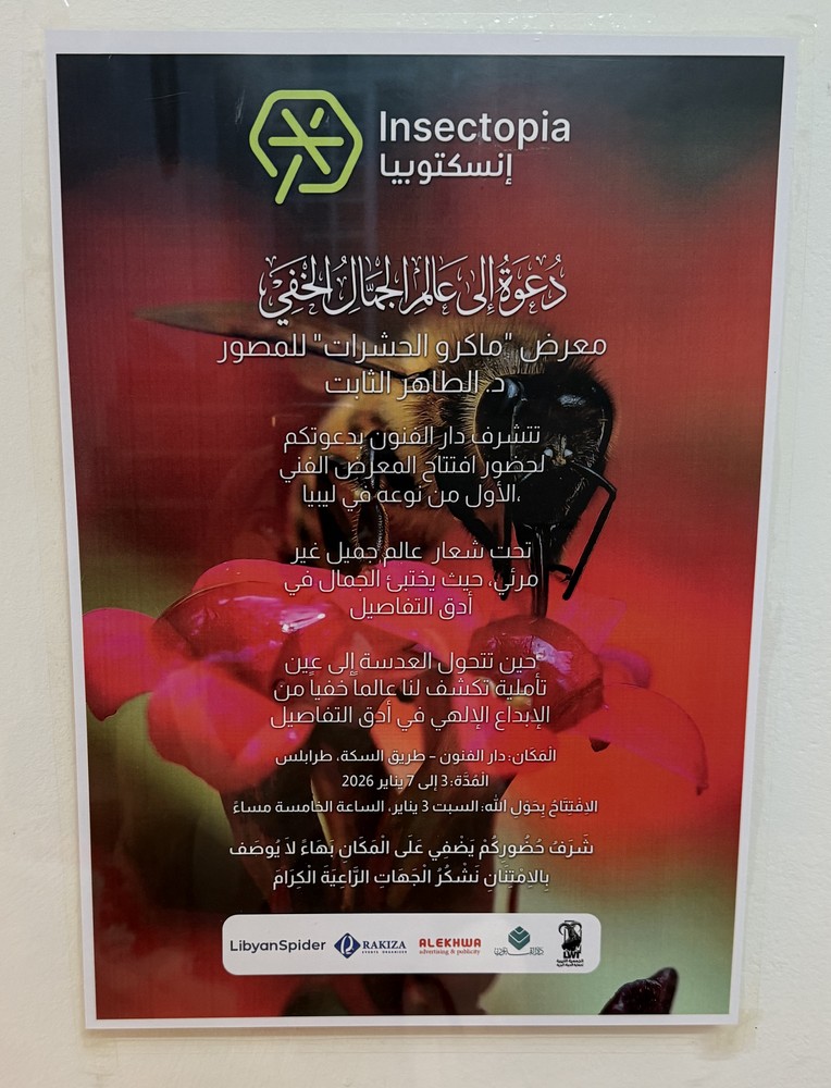 المعرض الشخصي للدكتور الطاهر الثابت 42 IMG 4073