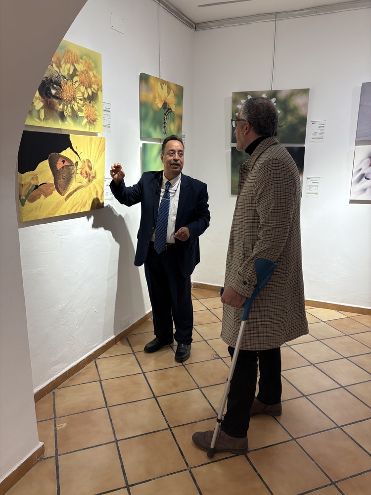 المعرض الشخصي للدكتور الطاهر الثابت 44 IMG 5156