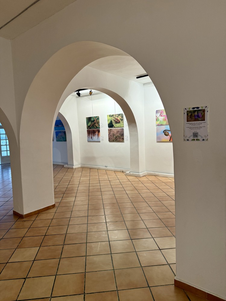 كلمة افتتاح معرض التصوير الفوتوغرافي "ماكرو الحشرات" 10 IMG E3664