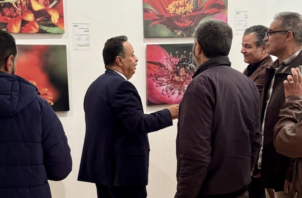 المعرض الشخصي للدكتور الطاهر الثابت 46 IMG E3700