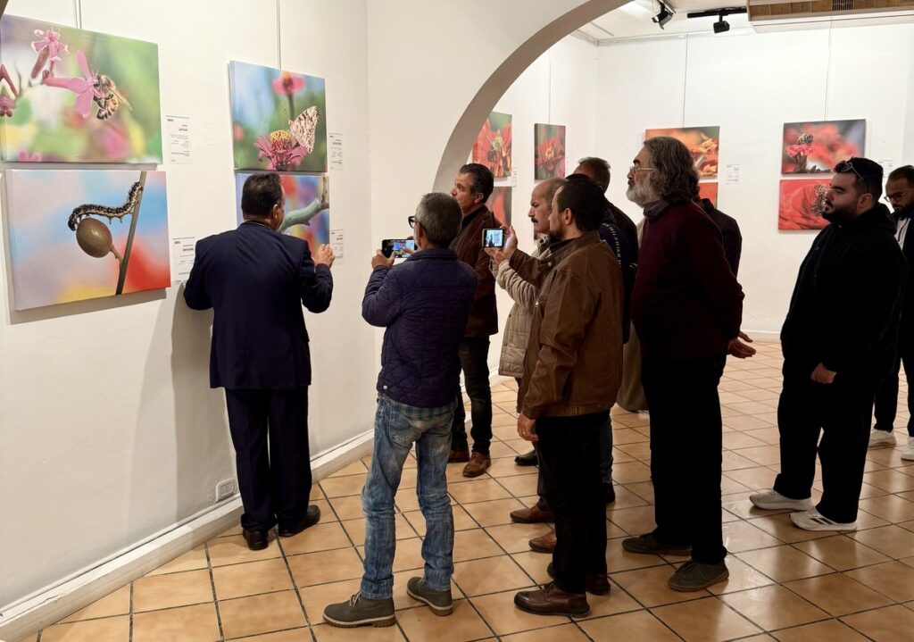 المعرض الشخصي للدكتور الطاهر الثابت 47 IMG E3703