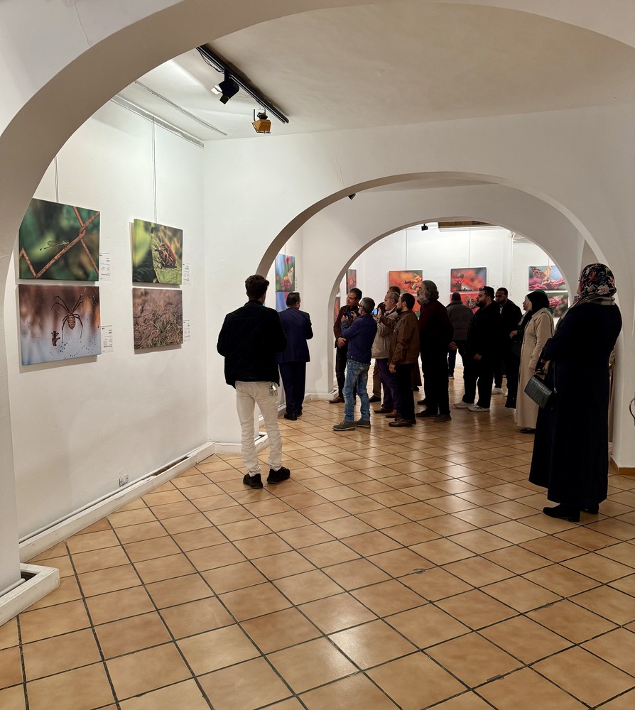 المعرض الشخصي للدكتور الطاهر الثابت 48 IMG E3705