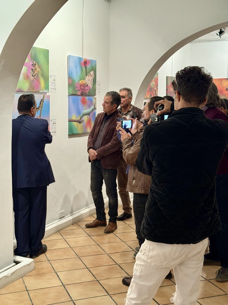 المعرض الشخصي للدكتور الطاهر الثابت 49 IMG E3710