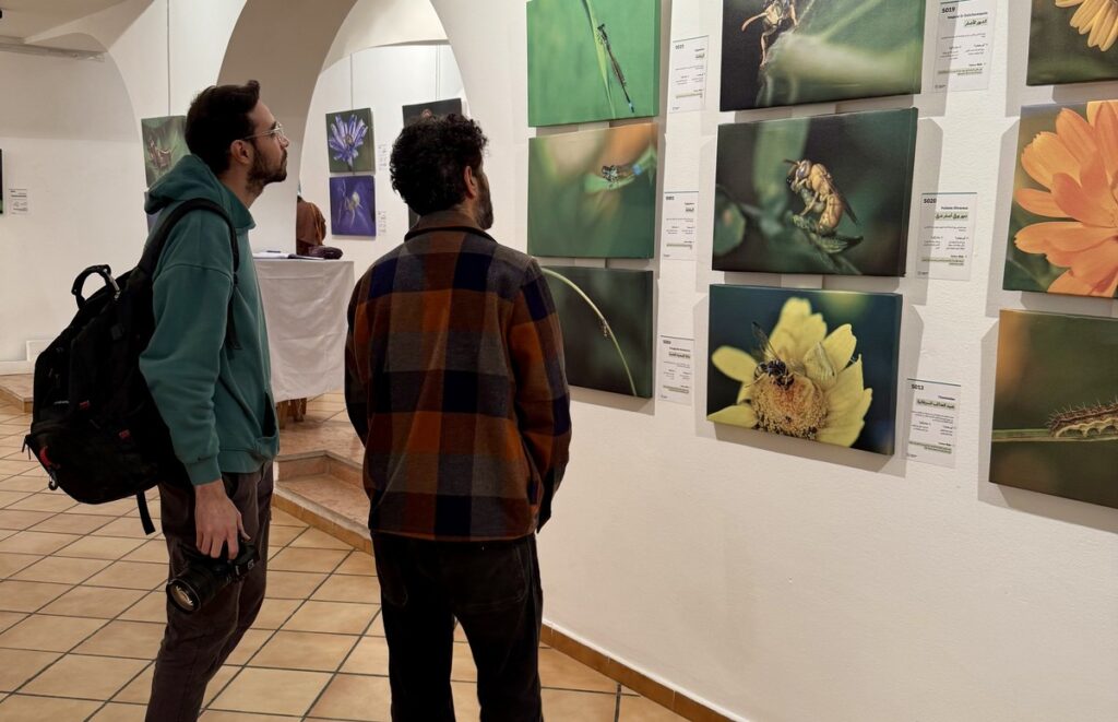 المعرض الشخصي للدكتور الطاهر الثابت 50 IMG E3725