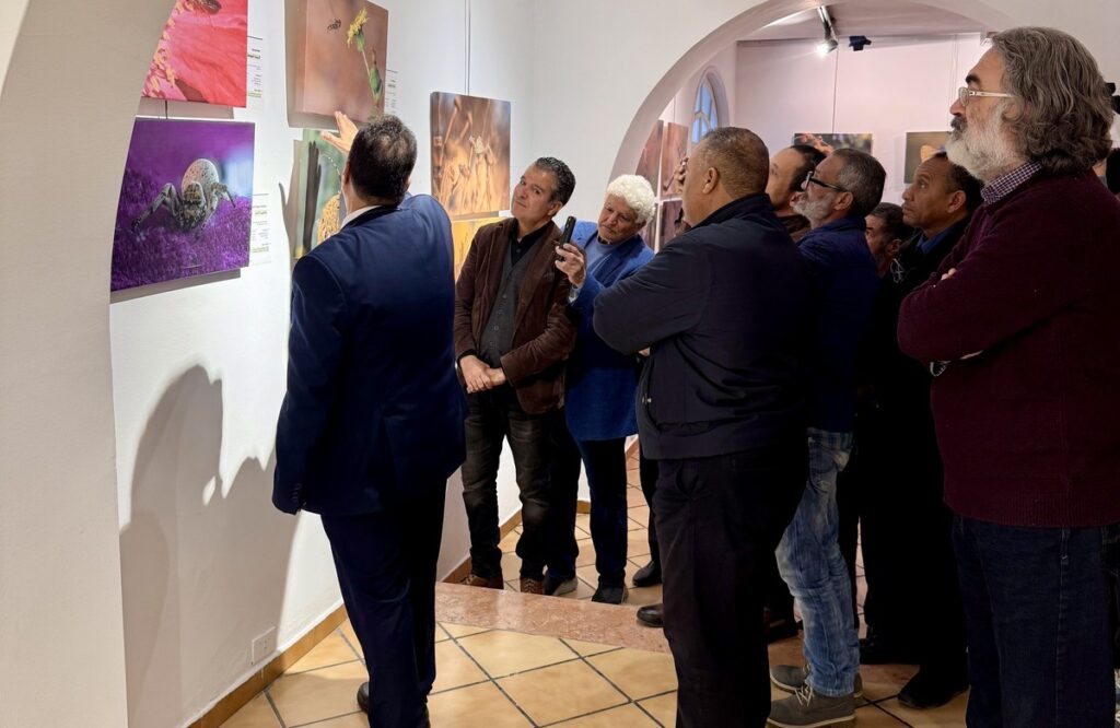 المعرض الشخصي للدكتور الطاهر الثابت 52 IMG E3742