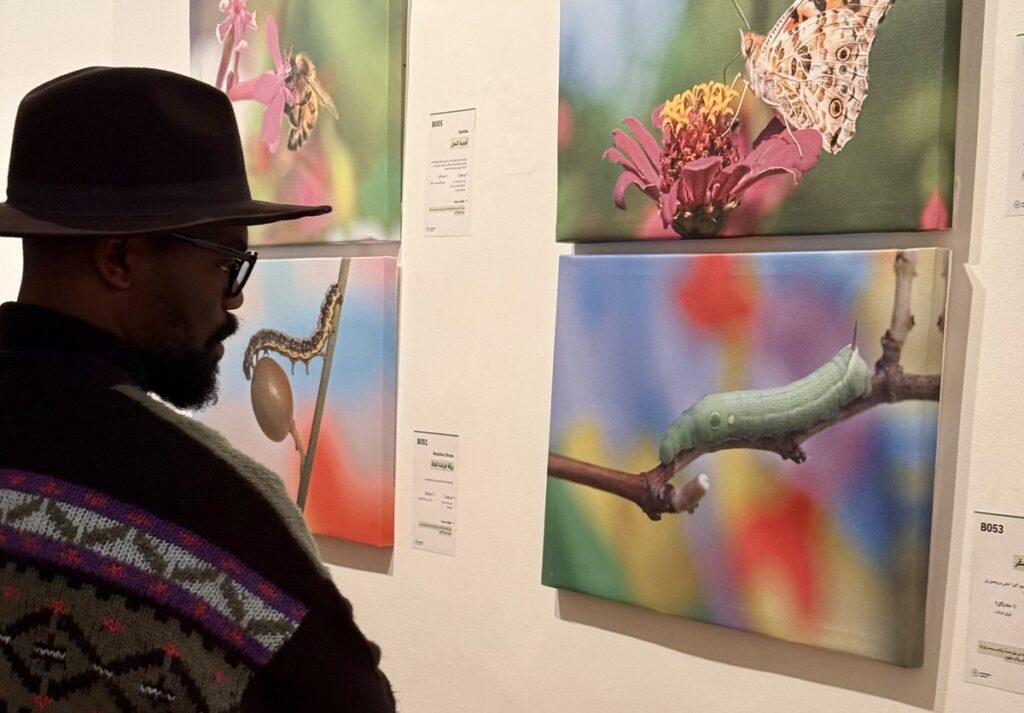 المعرض الشخصي للدكتور الطاهر الثابت 53 IMG E3760