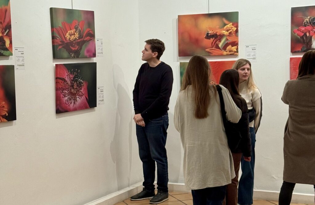 المعرض الشخصي للدكتور الطاهر الثابت 54 IMG E3764