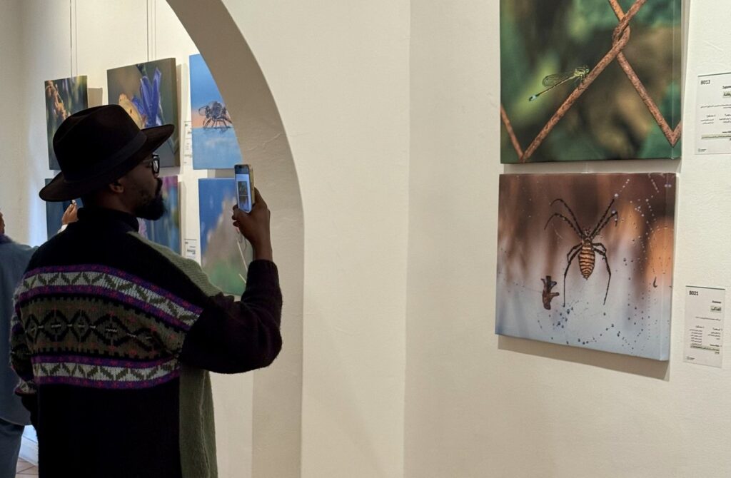 المعرض الشخصي للدكتور الطاهر الثابت 55 IMG E3765