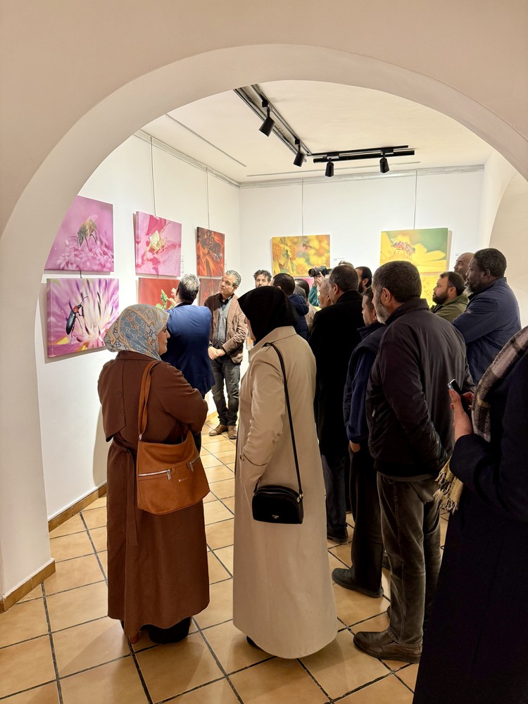 المعرض الشخصي للدكتور الطاهر الثابت 57 IMG E3768