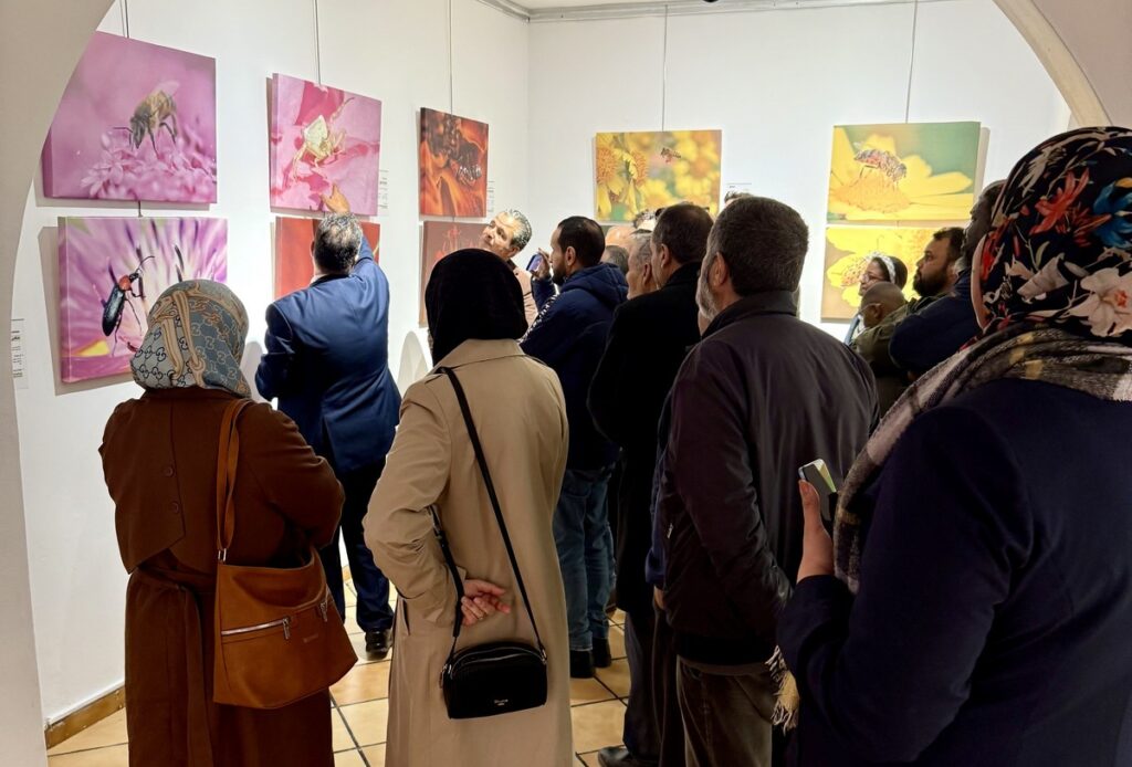 المعرض الشخصي للدكتور الطاهر الثابت 56 IMG E3769