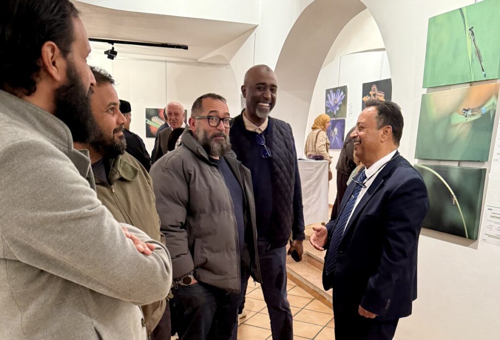 المعرض الشخصي للدكتور الطاهر الثابت 58 IMG E3784