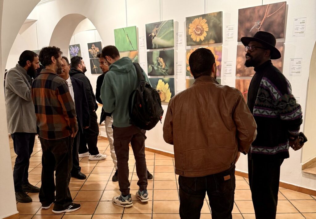 المعرض الشخصي للدكتور الطاهر الثابت 60 IMG E3789